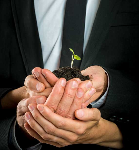 One man wearing black coat holding a sapling with both hands